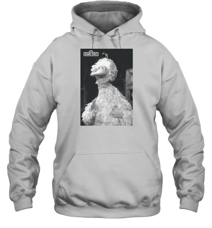 Sesame Street Big Bird Hoodie