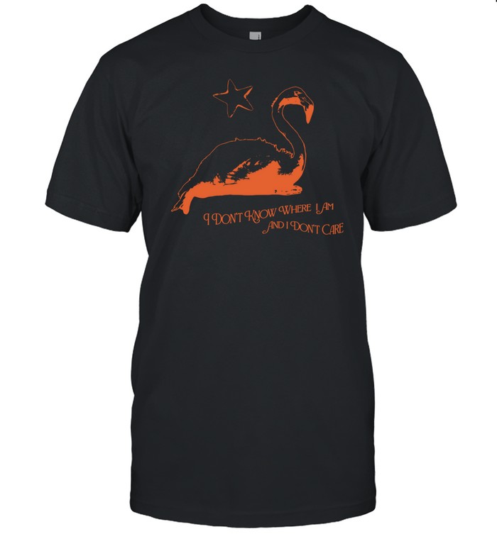 Flamingo I Don't Know Where I Am And I Don't Care T Shirt   Custom prints store   T-shirts  mugs  face masks  posters