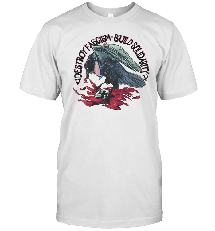 Destroy Fascism Build Solidarity Tee Shirt Custom prints store T-shirts mugs face masks posters