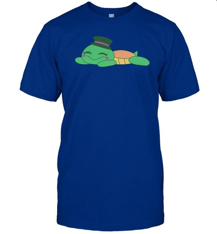 Devsprings Sleepy Turtle Super Soft T